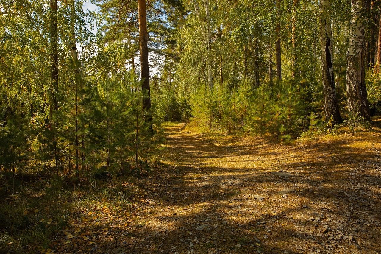 Аракульский шихан и озеро Аракуль. Поход.