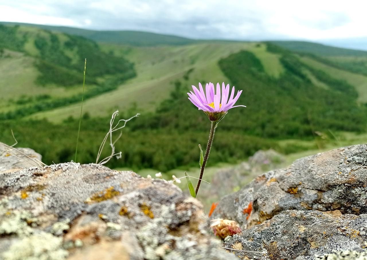 Хребет НУРАЛИ и озеро Аушкуль. Поход на 1 день.